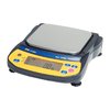 A&D ENGINEERING EJ-120 EJ NEWTON SERIES PORTABLE SCALE