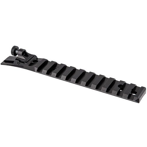 The RUGER® 10/22® ACE IN THE HOLE SIGHT SET features a backup aperture sight, Picatinny rail, adjustable windage/elevation, and a durable steel fiber optic front sight.